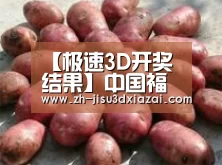 产品展示标题5