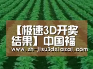 种植基地六