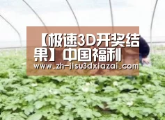 种植基地三