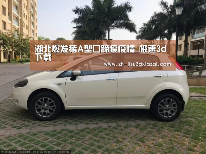 极速3d下载
