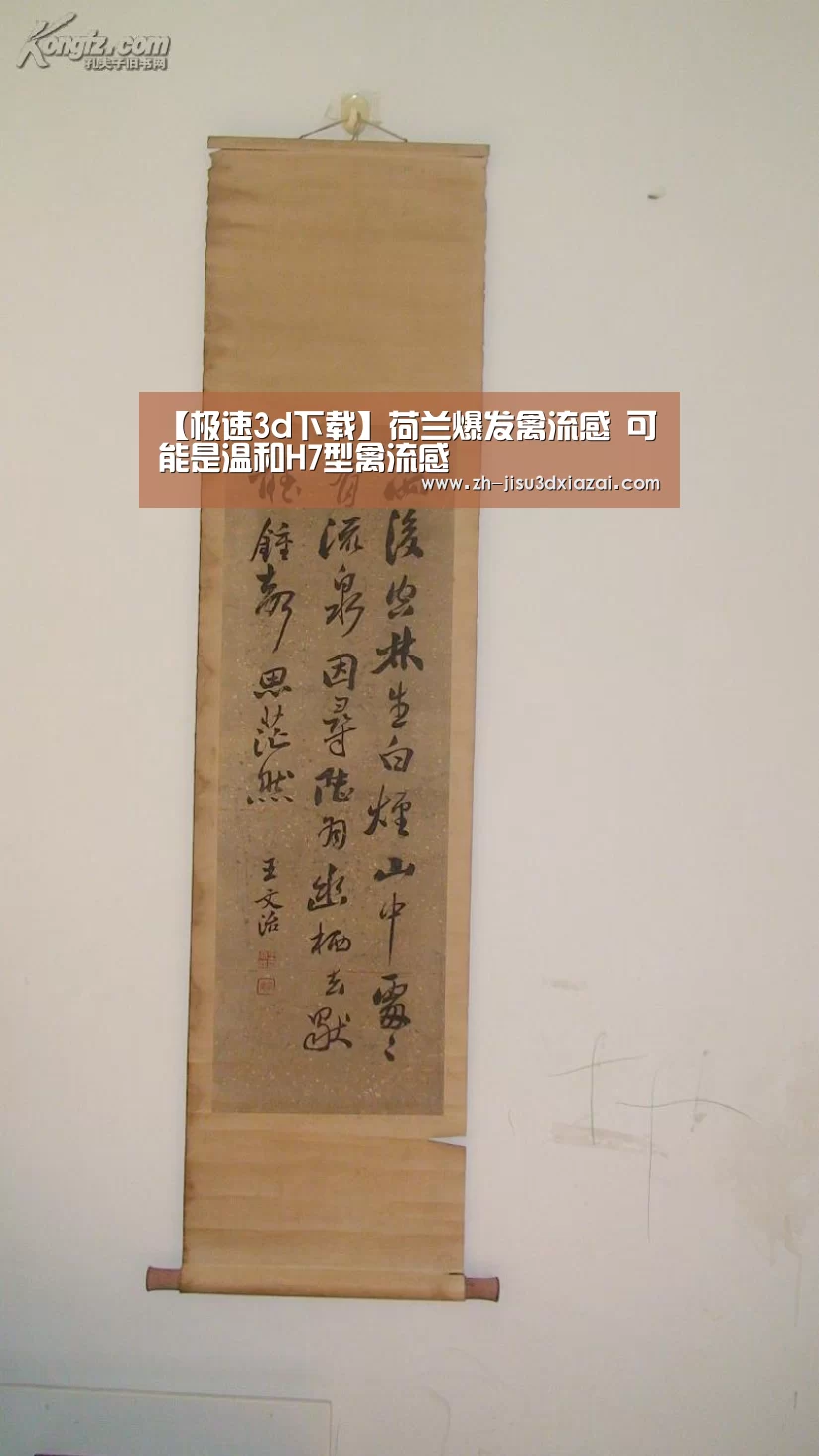 极速3d下载