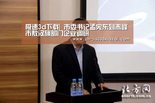 极速3d下载