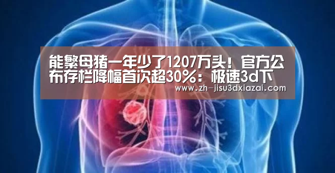 极速3d下载