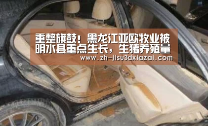 重整旗鼓!黑龙江亚欧牧业被明水县重点生长,生猪养殖量扩大!-极速3d下载(图3) 极速3d下载